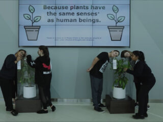 IKEA - Bully A Plant